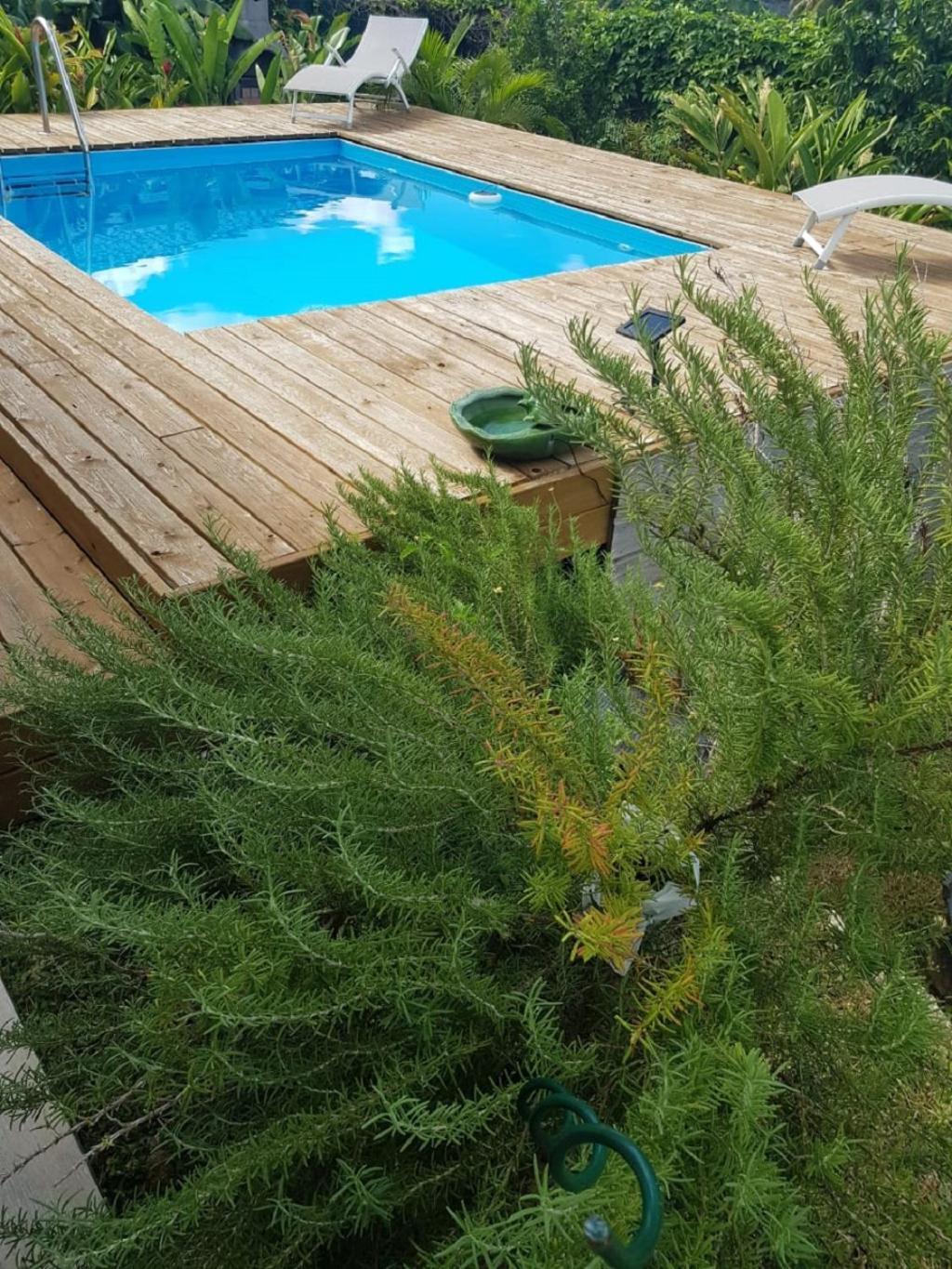 Studio Avec Piscine, A 3 Minutes A Pied Des Plages Sainte-Anne  Exterior photo