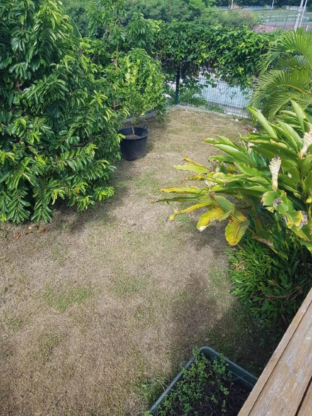 Studio Avec Piscine, A 3 Minutes A Pied Des Plages Sainte-Anne  Exterior photo